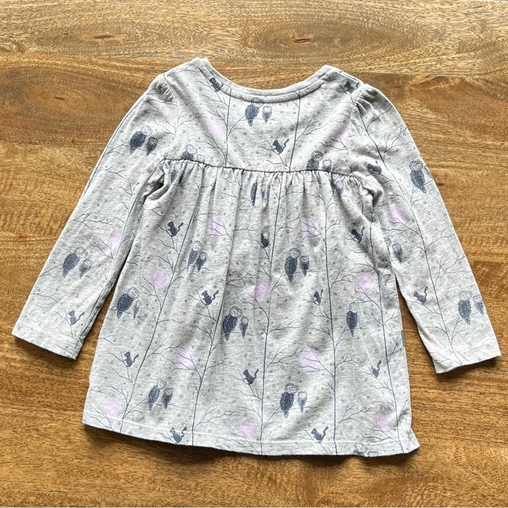 BabyGap Toddler 3 Years Long Sleeve Owl Woodland Animal Nature Boho Print Dress